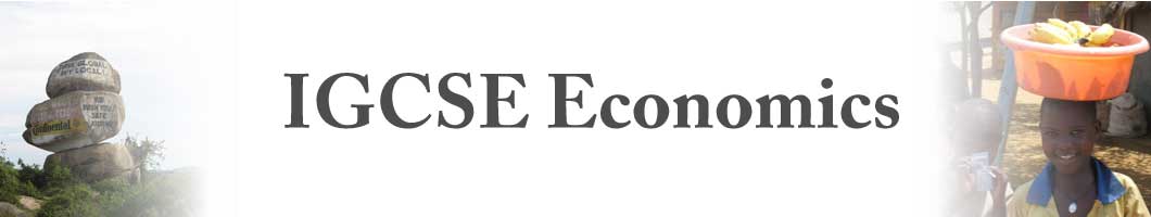 IGCSE Economics homepage