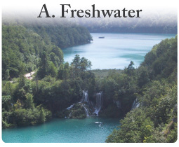 Freshwater issues and conflicts