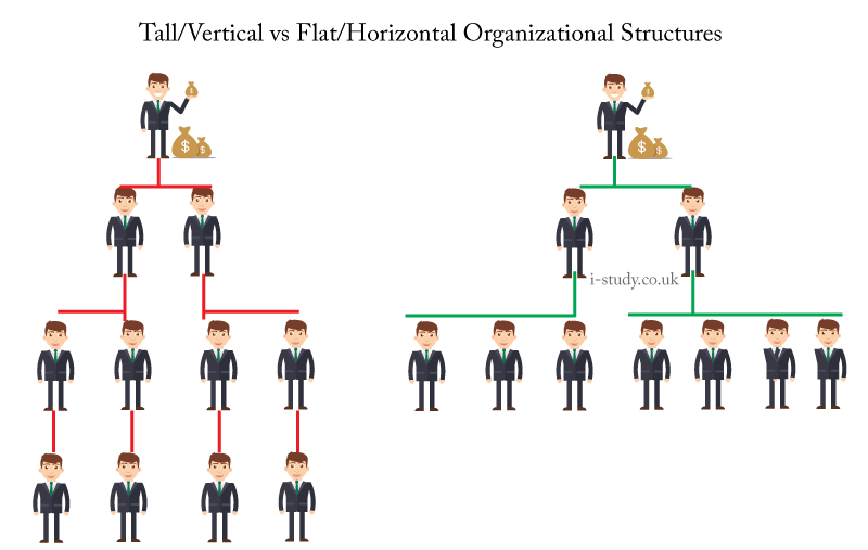 Horizontal and Vertical Structures IGCSE business Studies