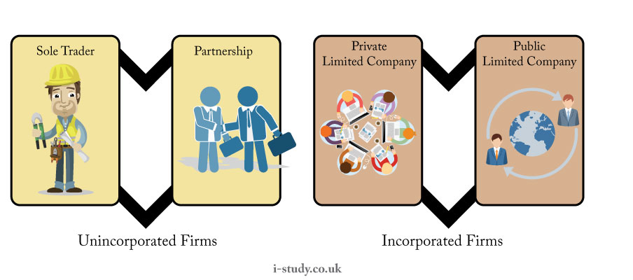 IGCSE types of firms business studies