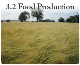 IGCSE Geography unit 3.2 Food production