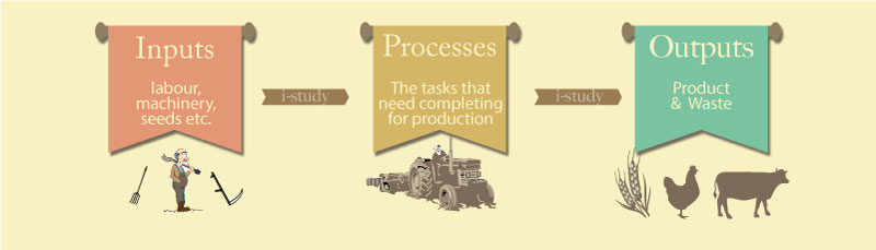 food production system