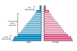 Demographic Transition Model