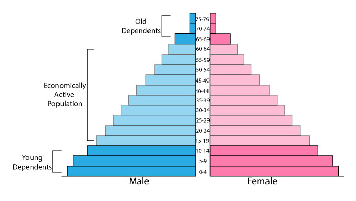 Population pyramid for less developed countries