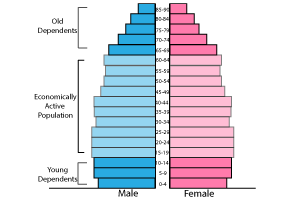 Demographic Transition Model