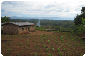 rural housing