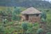 Rural-Rwanda
